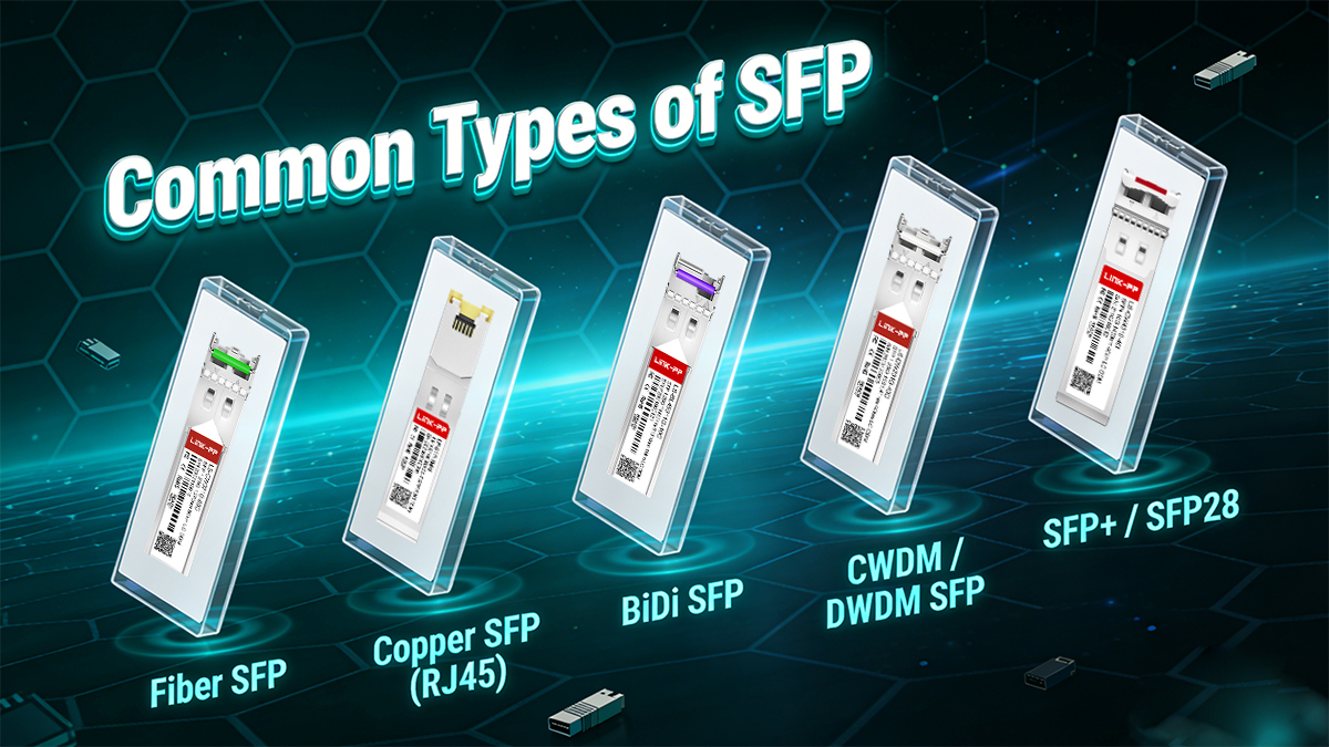 SFP modules installed in network switches and routers to provide flexible Ethernet port configurations