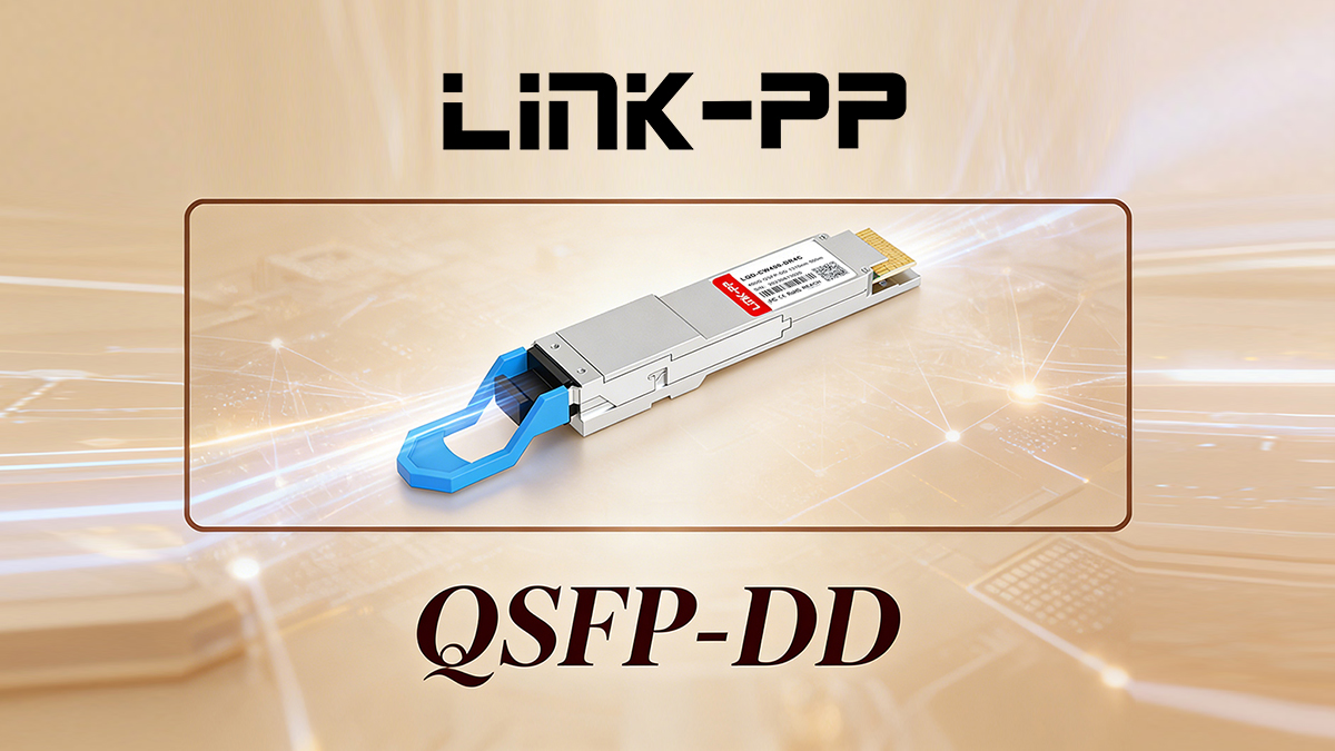 LINK-PP QSFP-DD