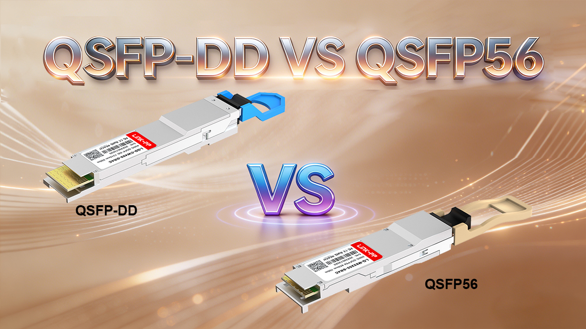QSFP-DD VS QSFP56 Choosing The Right Form Factor
