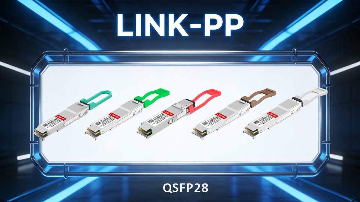 LINK-PP QSFP28 Modules