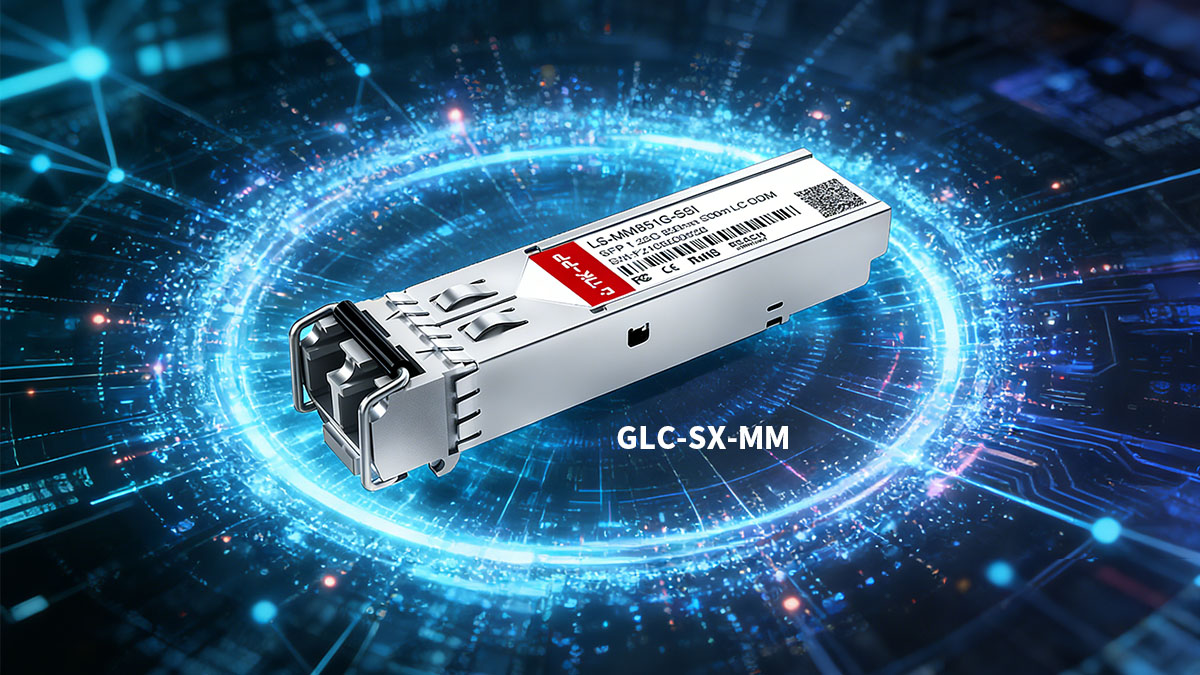 What Is GLC-SX-MM