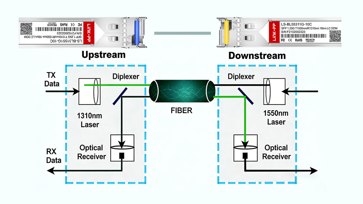 Introduction to BiDi Optics in Modern Networks